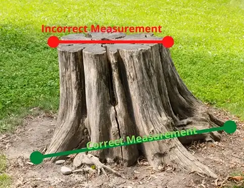 Tree Stump Measurement for Grinding Services